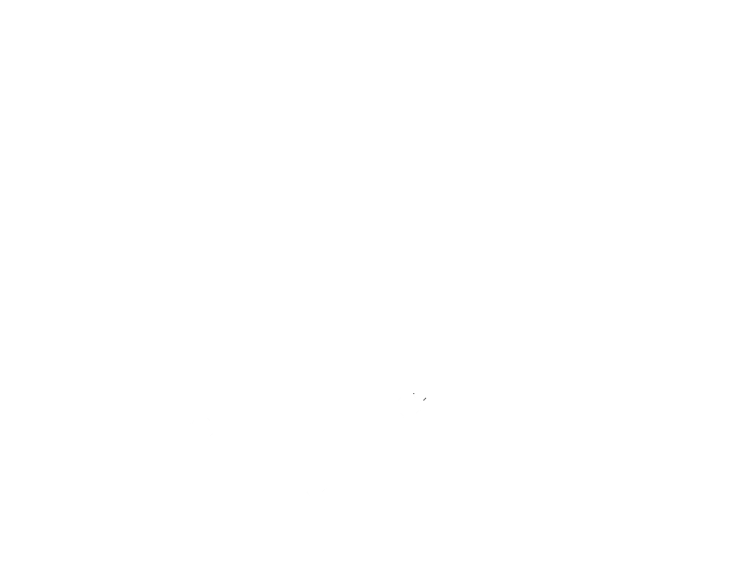 Starch & Steel Logo